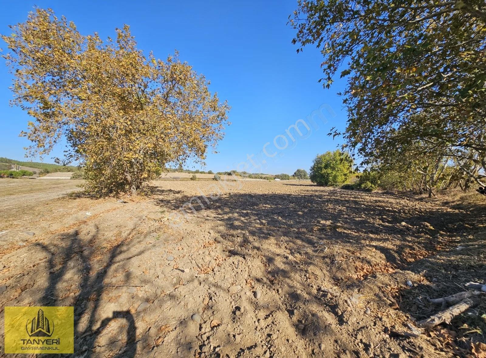 Çanakkale Ezinе'de Ana Yola Cephe 9477m² Tarla (takaslık) - Görsel 19