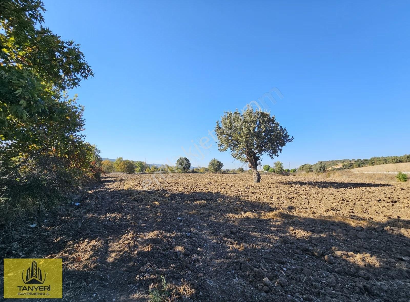 Çanakkale Ezinе'de Ana Yola Cephe 9477m² Tarla (takaslık) - Görsel 33