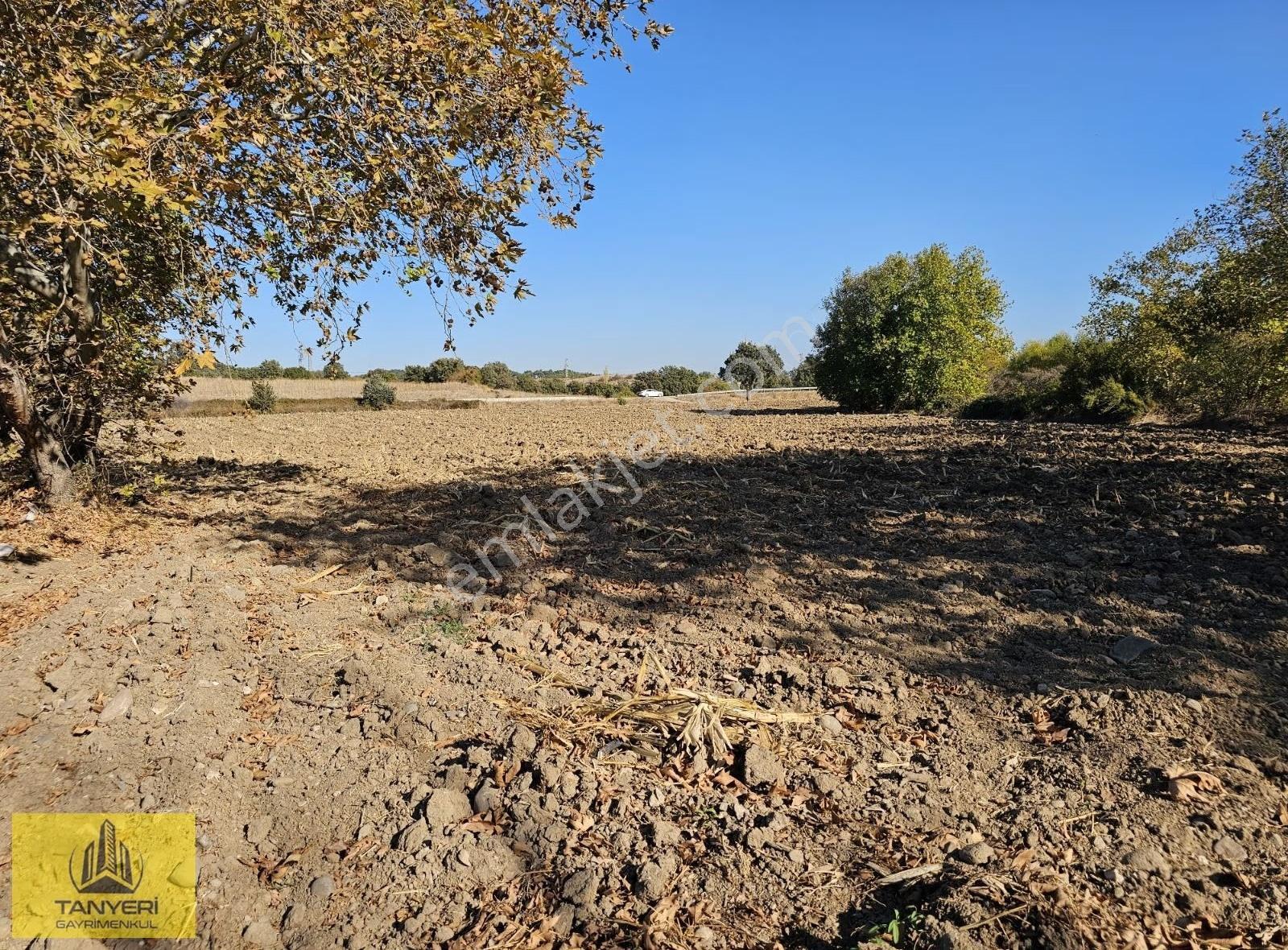 Çanakkale Ezinе'de Ana Yola Cephe 9477m² Tarla (takaslık) - Görsel 34