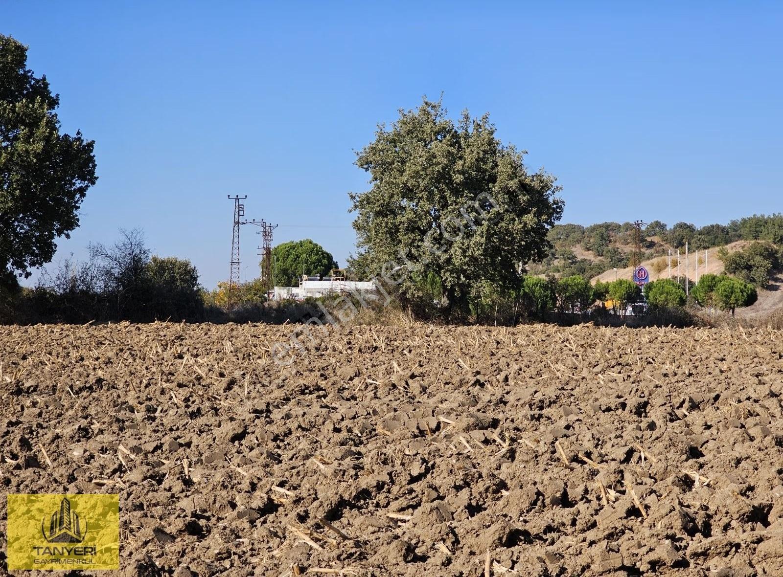 Çanakkale Ezinе'de Ana Yola Cephe 9477m² Tarla (takaslık) - Görsel 26