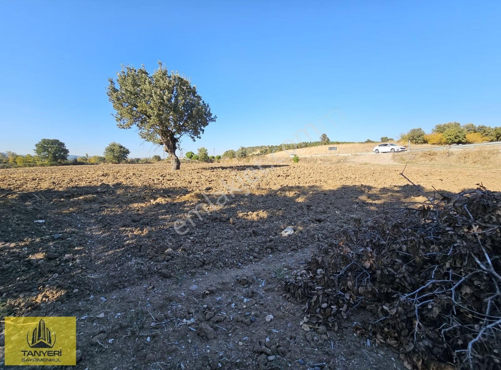 Çanakkale Ezinе'de Ana Yola Cephe 9477m² Tarla (takaslık) - Görsel 31