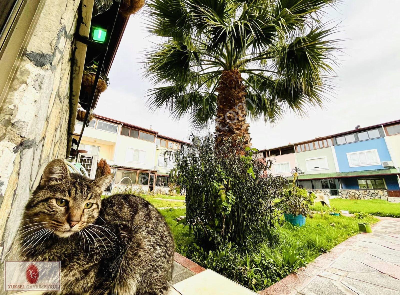 Yükselden Güre'de Denize 100mt Full Deniz Manzaralı Şahane Villa - Görsel 11