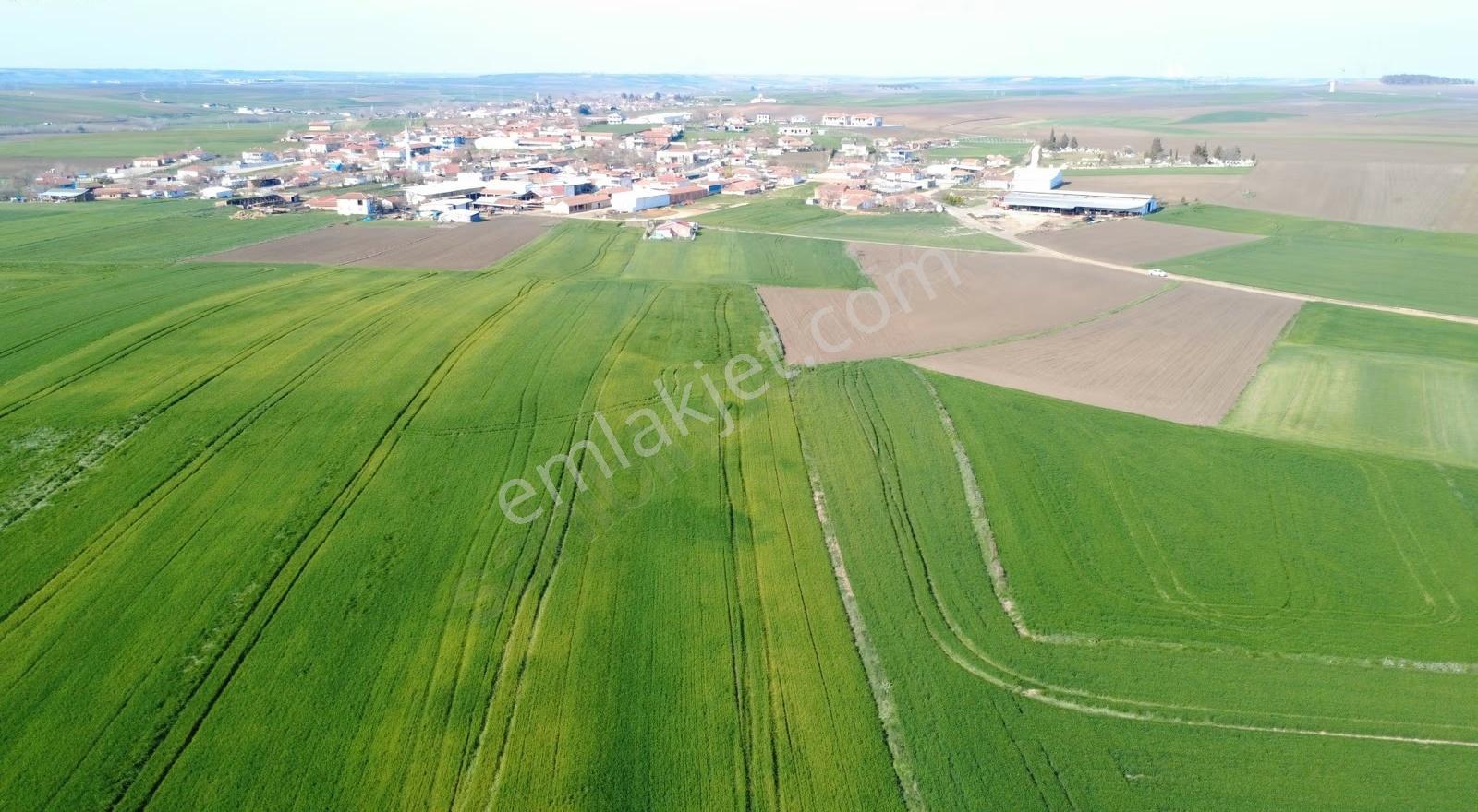 **sarıcaali Köyü 2 Tapu Tek Fiyat 4.160 M2 İmar Sınırında** - Görsel 9