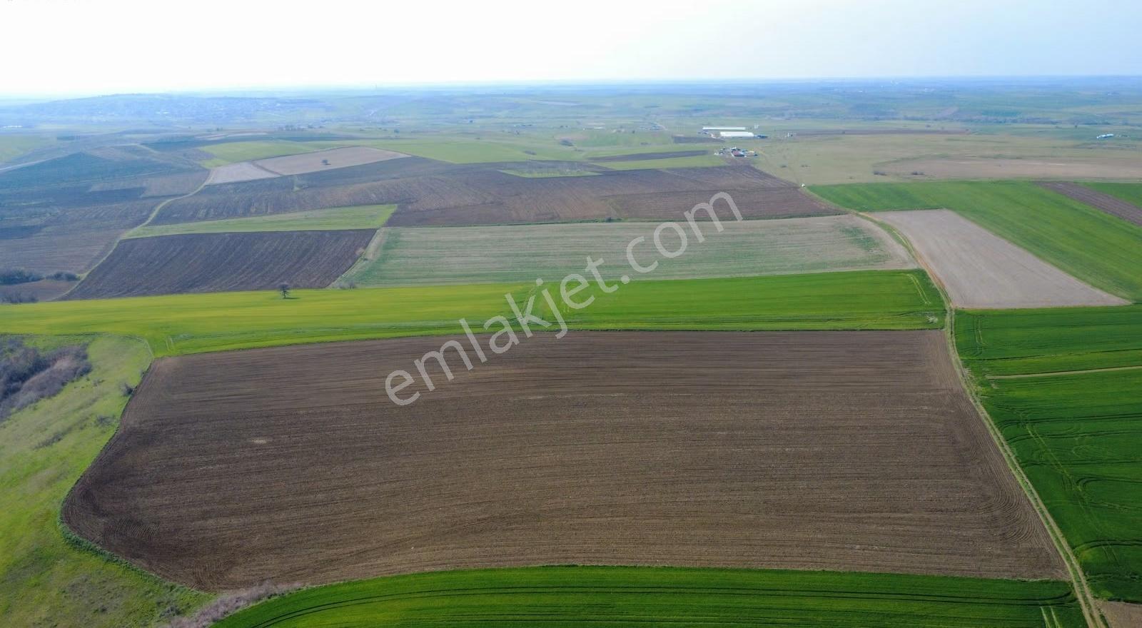 **oklalı Köyü 2 Tapu Tek Fiyat 20.481 M2 ** - Görsel 12