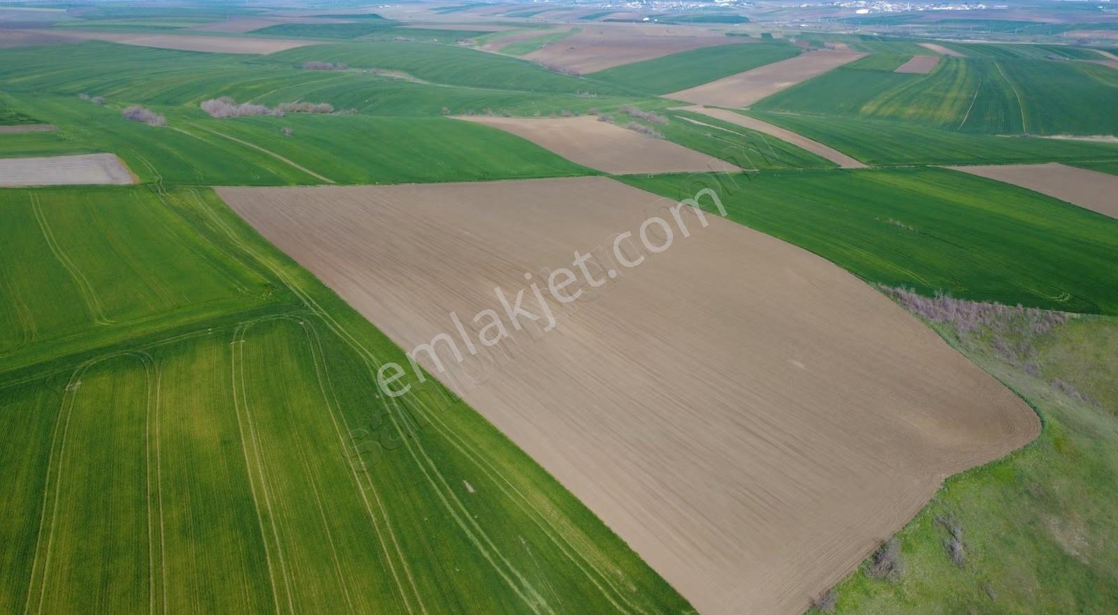 **oklalı Köyü 2 Tapu Tek Fiyat 20.481 M2 ** - Görsel 10