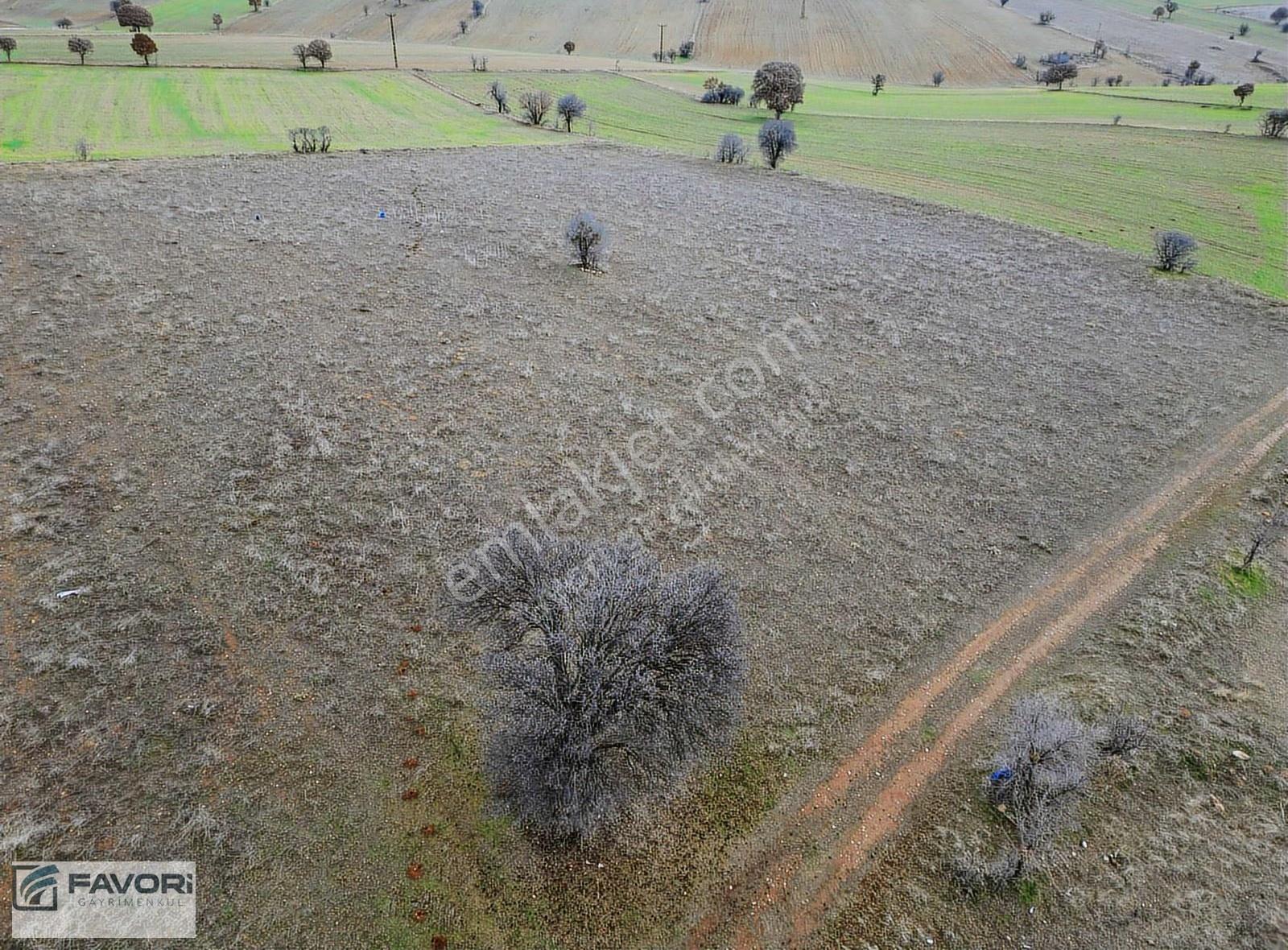 Uşak Çınarcık'ta 951 M² Ticari İmarlı Arsa - Yatırım Fırsatı - Görsel 12