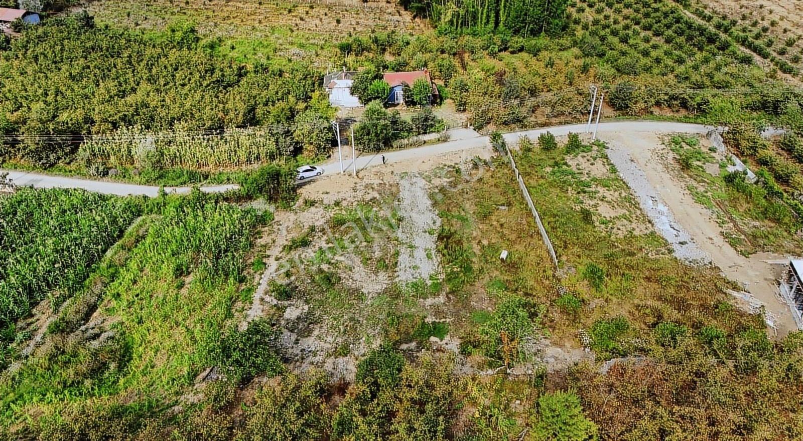 Kozlukta Hayalinizdeki Villa İçin Her Şey Hazır! - Görsel 6