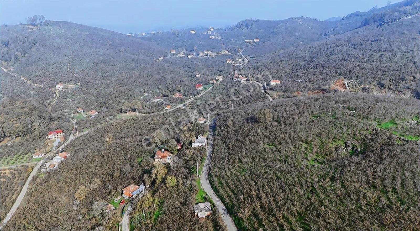 Etkin Gayrimenkul'den Kapanmaz Doğa Manzaralı Uygun Fiyatlı Arsa - Görsel 10