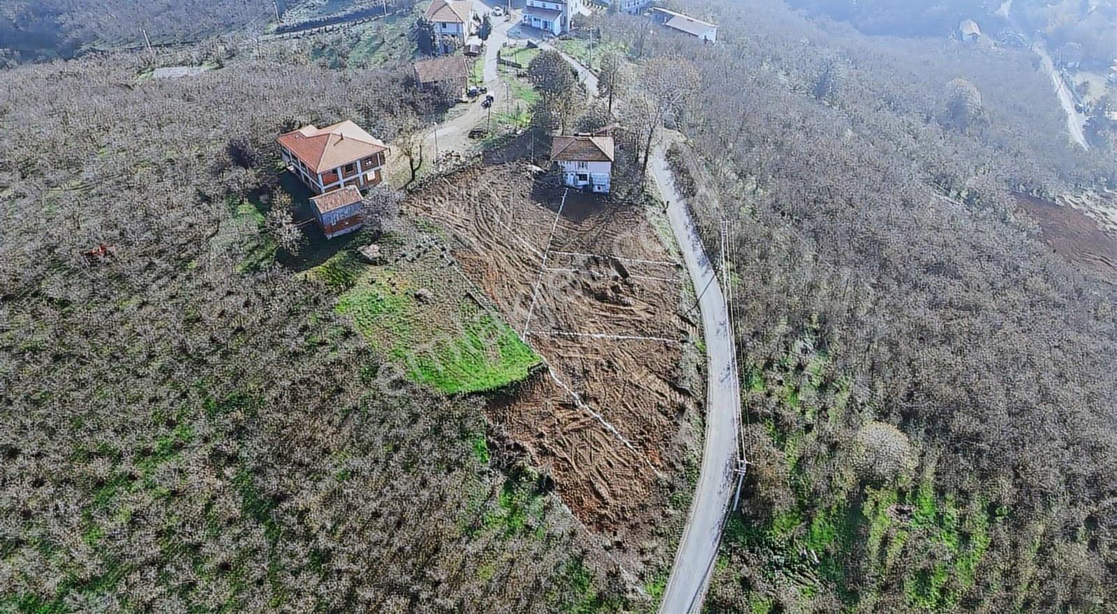 Etkin Gayrimenkul'den Kapanmaz Doğa Manzaralı Uygun Fiyatlı Arsa - Görsel 6