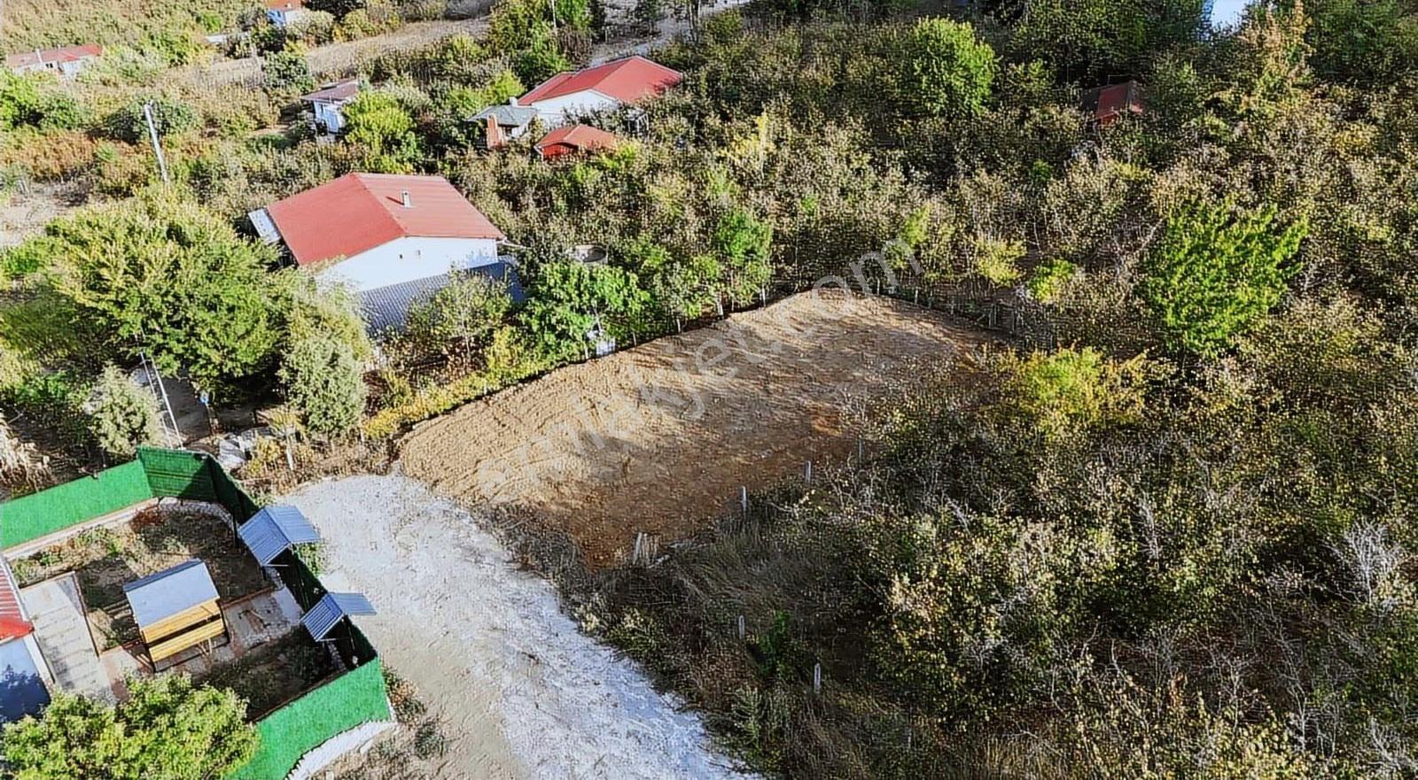 Deniz Doğa Manzaralı Fırsat Arsa - Görsel 13