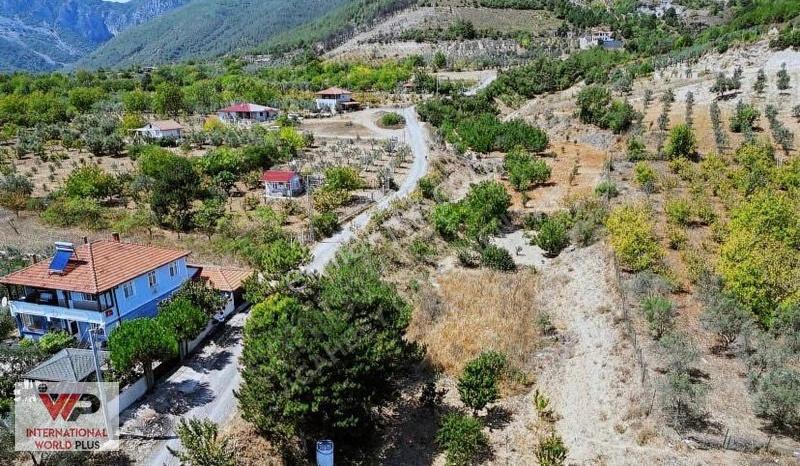 Sakarya Pamukova Satılık Bahçe(arsa) - Görsel 2