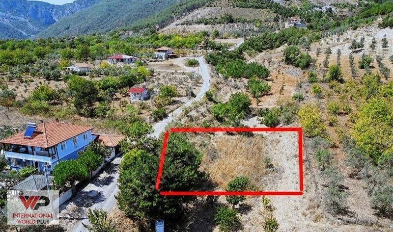 Sakarya Pamukova Satılık Bahçe(arsa) - Görsel 8