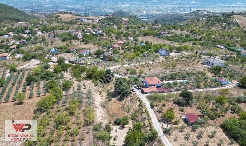 Sakarya Pamukova Satılık Bahçe(arsa) - Görsel 3