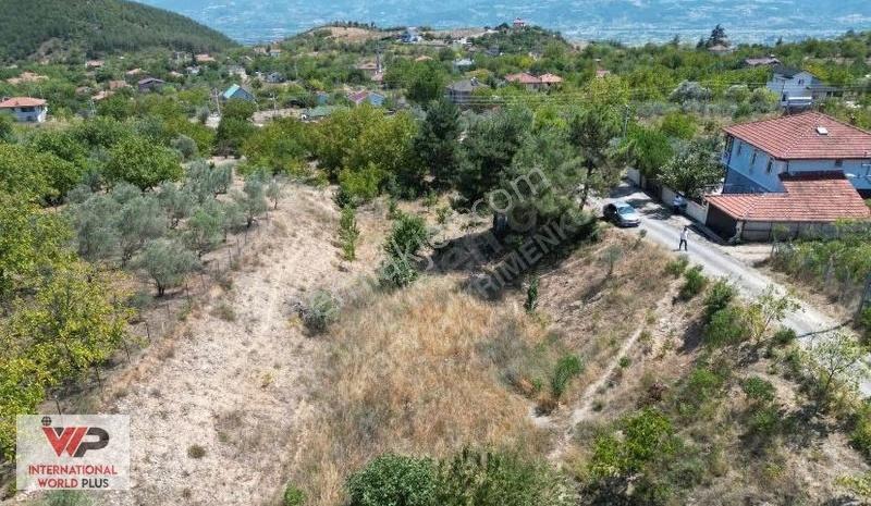 Sakarya Pamukova Satılık Bahçe(arsa) - Görsel 20