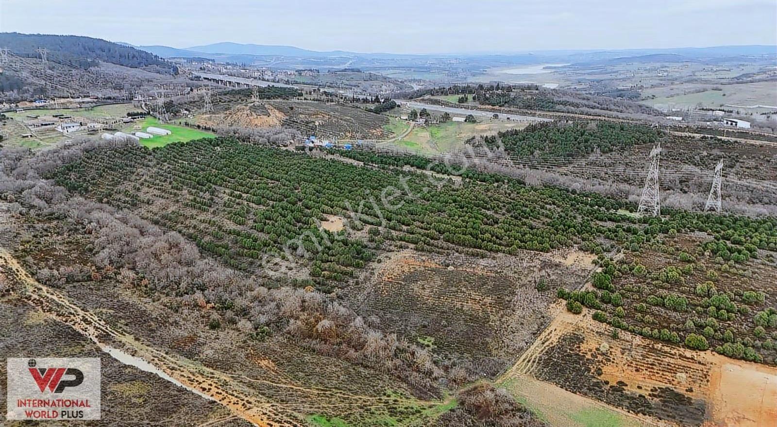 Pendik Kurna Mah. 1. Bölge İmar Planın Da Satılık Bahçe - Görsel 6