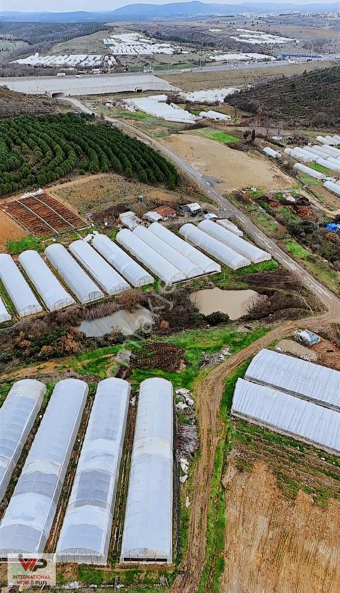 Pendik Kurna Mah. 1. Bölge İmar Planın Da Satılık Bahçe - Görsel 5