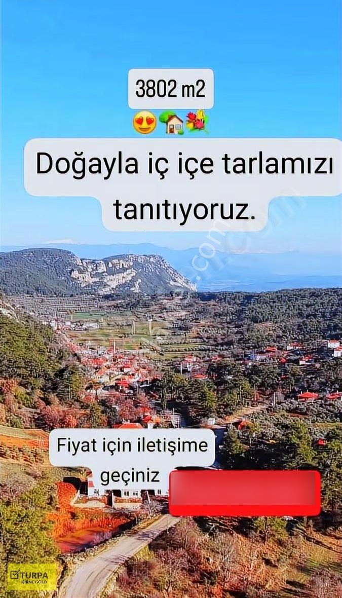 Dünyaca Ünlü Akyaka Beldesinin Yaylasında 3802 M2 Satılık Tarla - Görsel 6