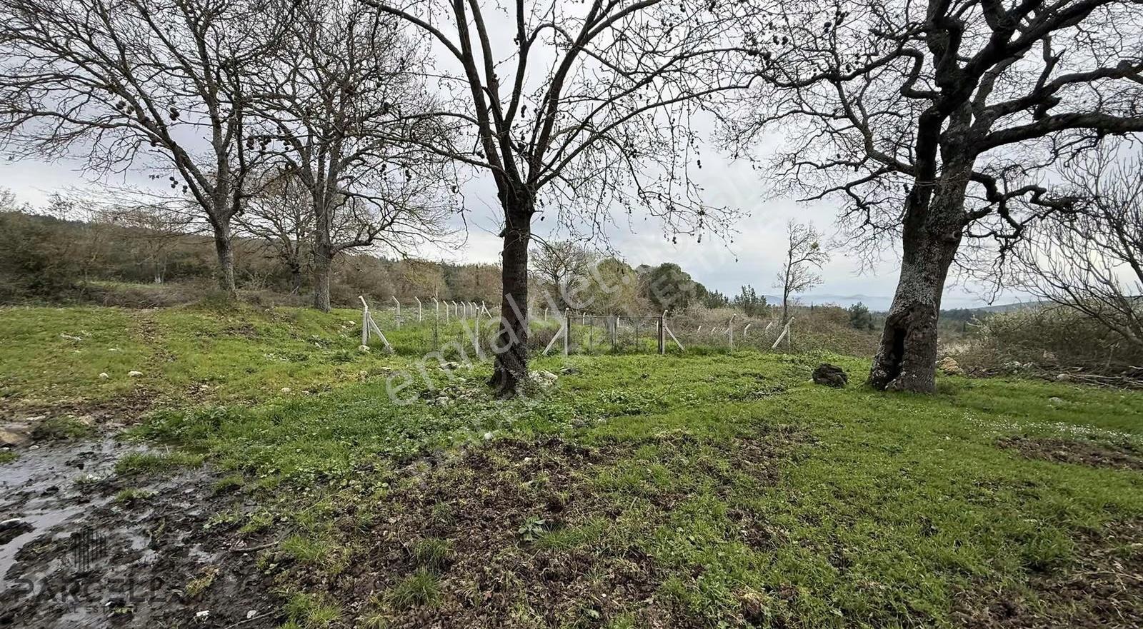 Balıkesir Balya Akbaş'da Doğa Manzaralı Bahçe - Görsel 2