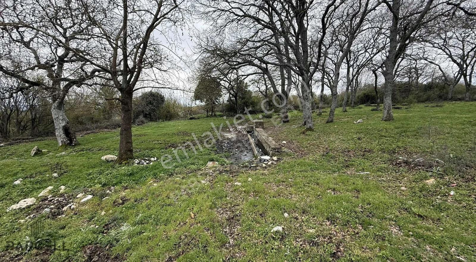 Balıkesir Balya Akbaş'da Doğa Manzaralı Bahçe - Görsel 5