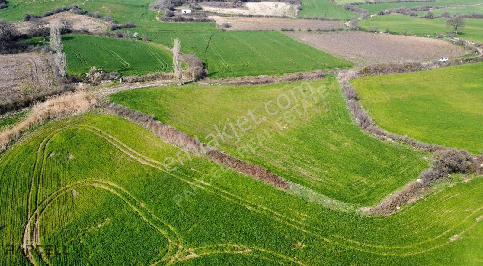 Balıkesir Susurluk Babaköy'de 4642m² Yatırımlık Tarla - Görsel 9