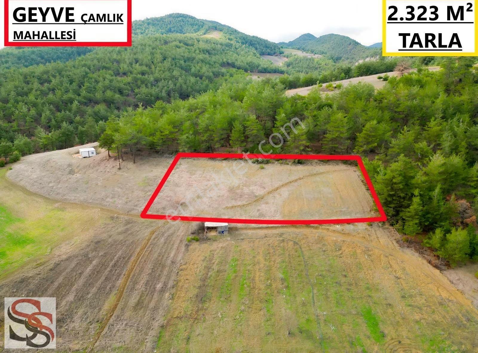 Geyve Çamlık Mahallesi'nde 2.323 M² Ormana Sınır Tarla