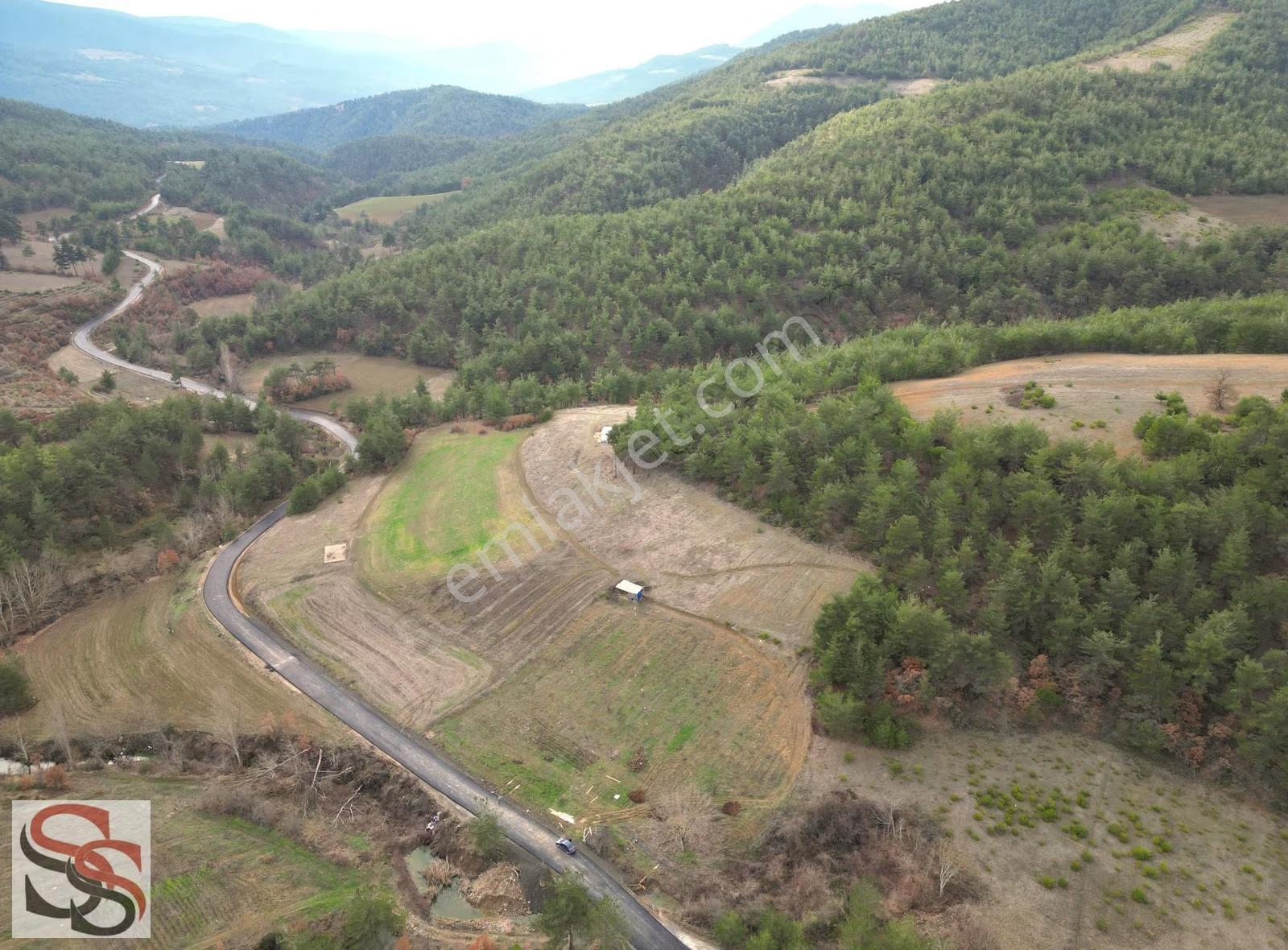 Geyve Çamlık Mahallesi'nde 2.323 M² Ormana Sınır Tarla - Görsel 6