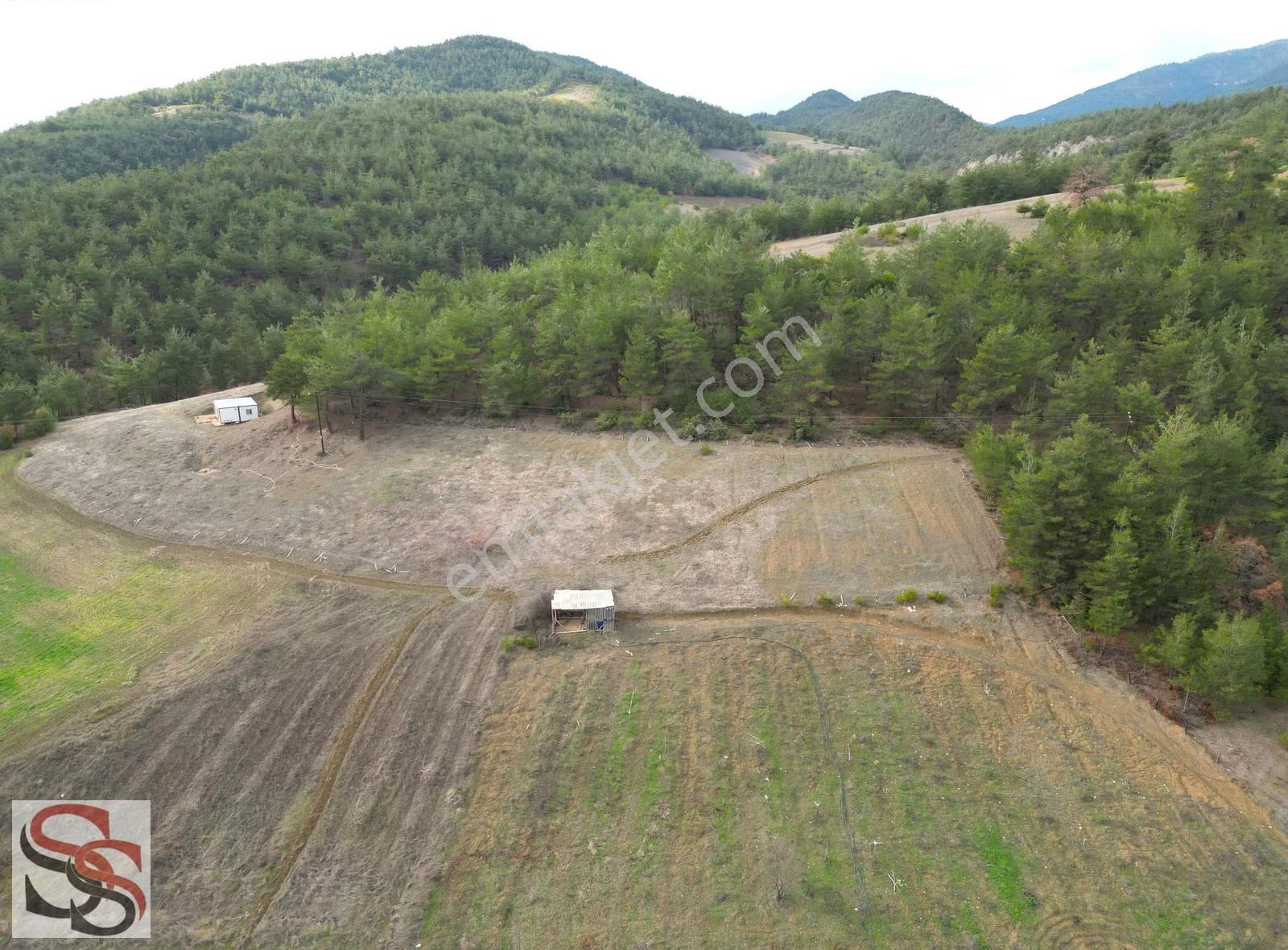 Geyve Çamlık Mahallesi'nde 2.323 M² Ormana Sınır Tarla - Görsel 5