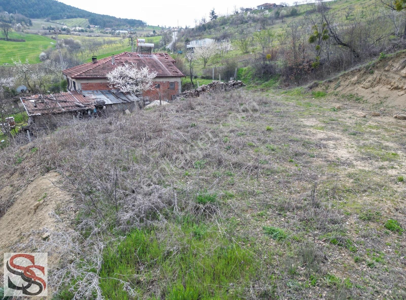 Geyve Hacıosmanlar Mahallesi'nde 842 M² İmara Sınır Tarla - Görsel 11