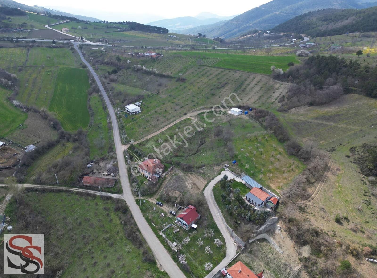 Geyve Hacıosmanlar Mahallesi'nde 842 M² İmara Sınır Tarla - Görsel 2