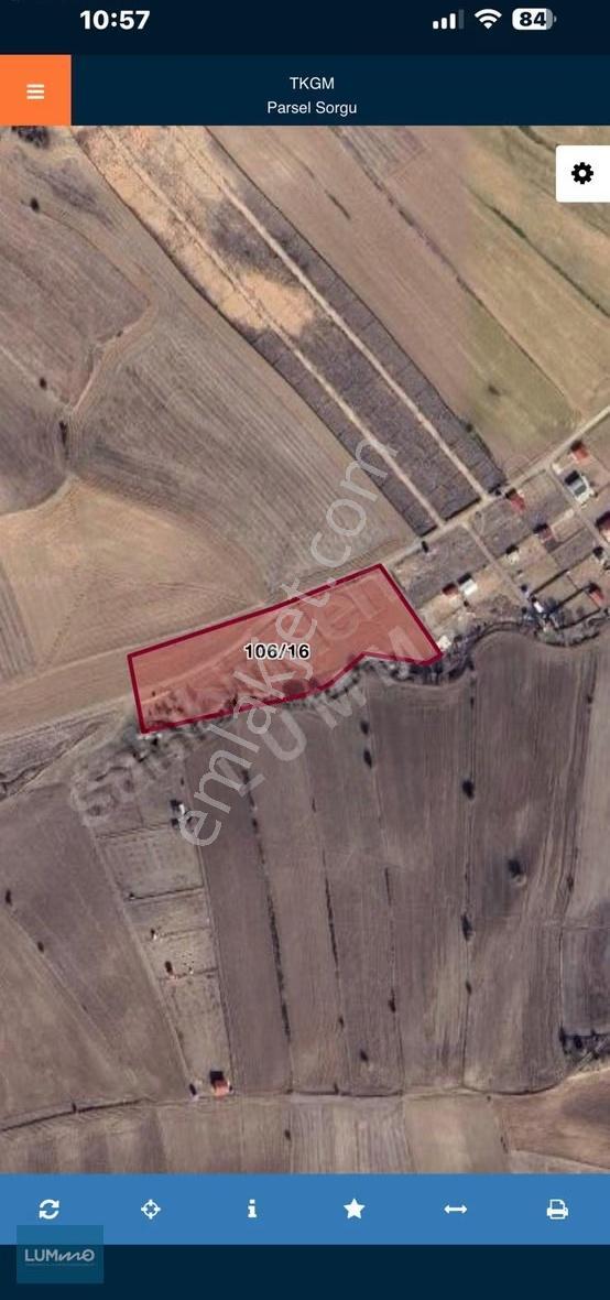 Lummo'dan Ortabereket Köyüne 2km Mesafede 300m2 Hobi Bahçesi - Görsel 4