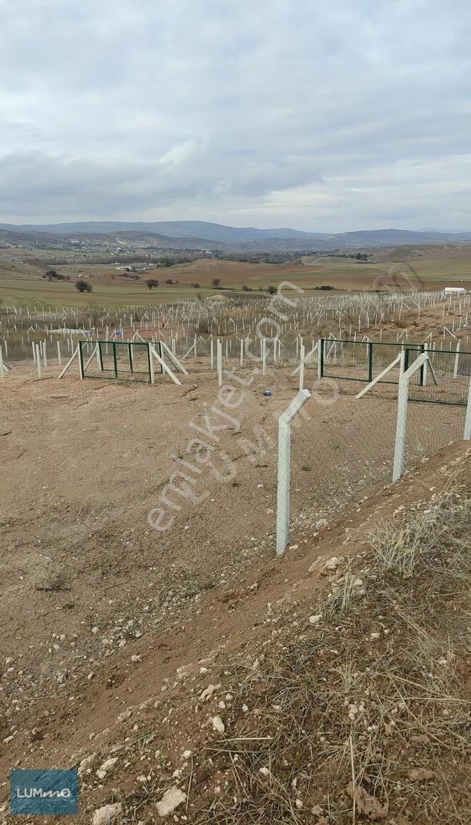 Lummo'dan Ortabereket Köyüne 2km Mesafede 300m2 Hobi Bahçesi - Görsel 2