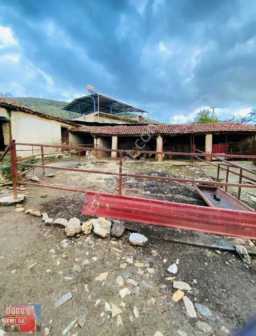 Tire Kurşak Köyü'nde Satılık Müstakil Ev (675m², 5+2, Ahırlı) - Görsel 16