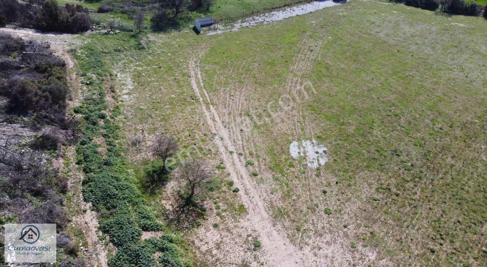 Cumaovası Emlaktan Kiralık Yola Yakın 7890m2 Tarla - Görsel 17