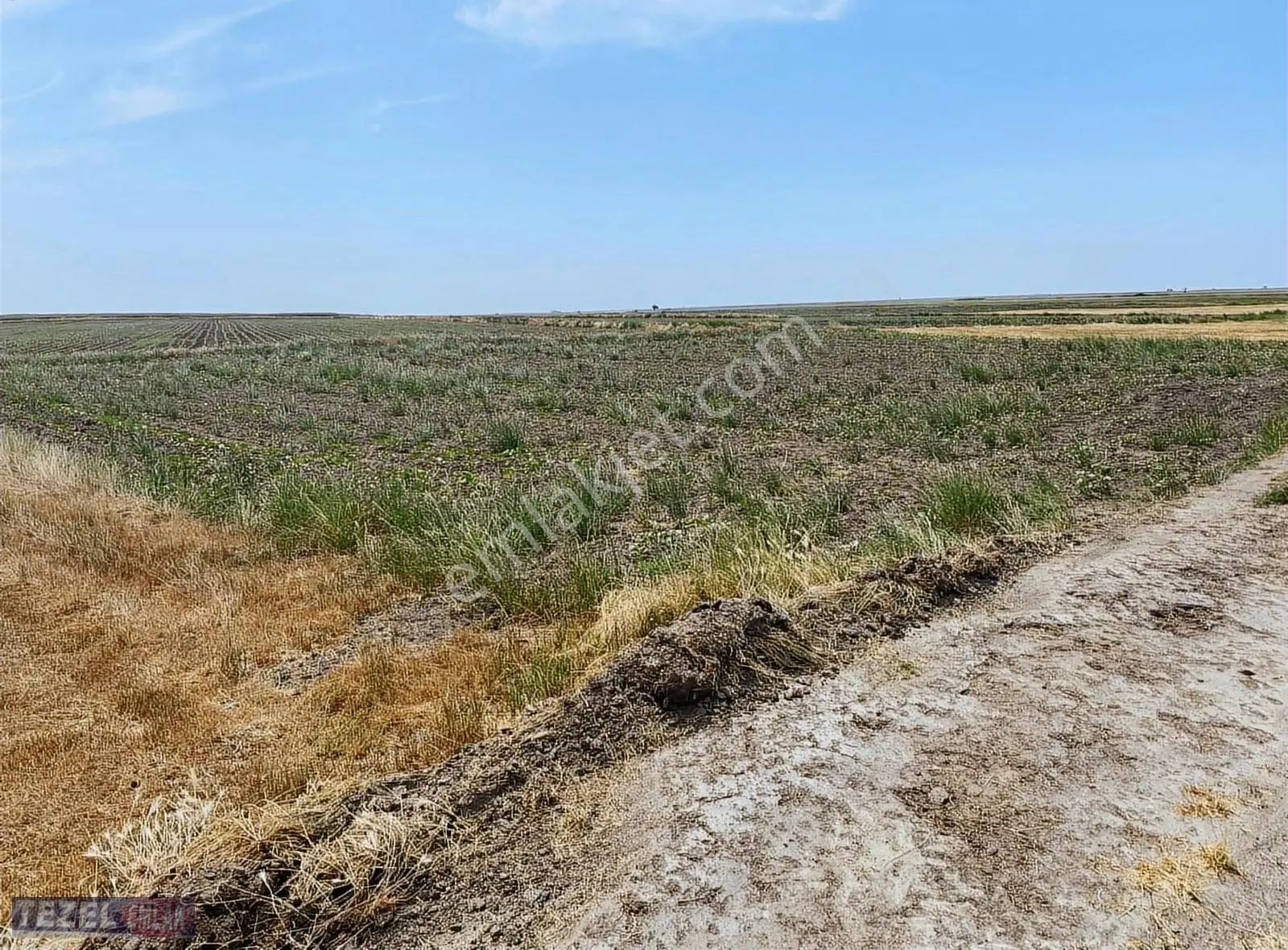 Tekirdag Saray Beyazköy Mahallesinde 1556 Metre Tektapu Yolu - Görsel 4