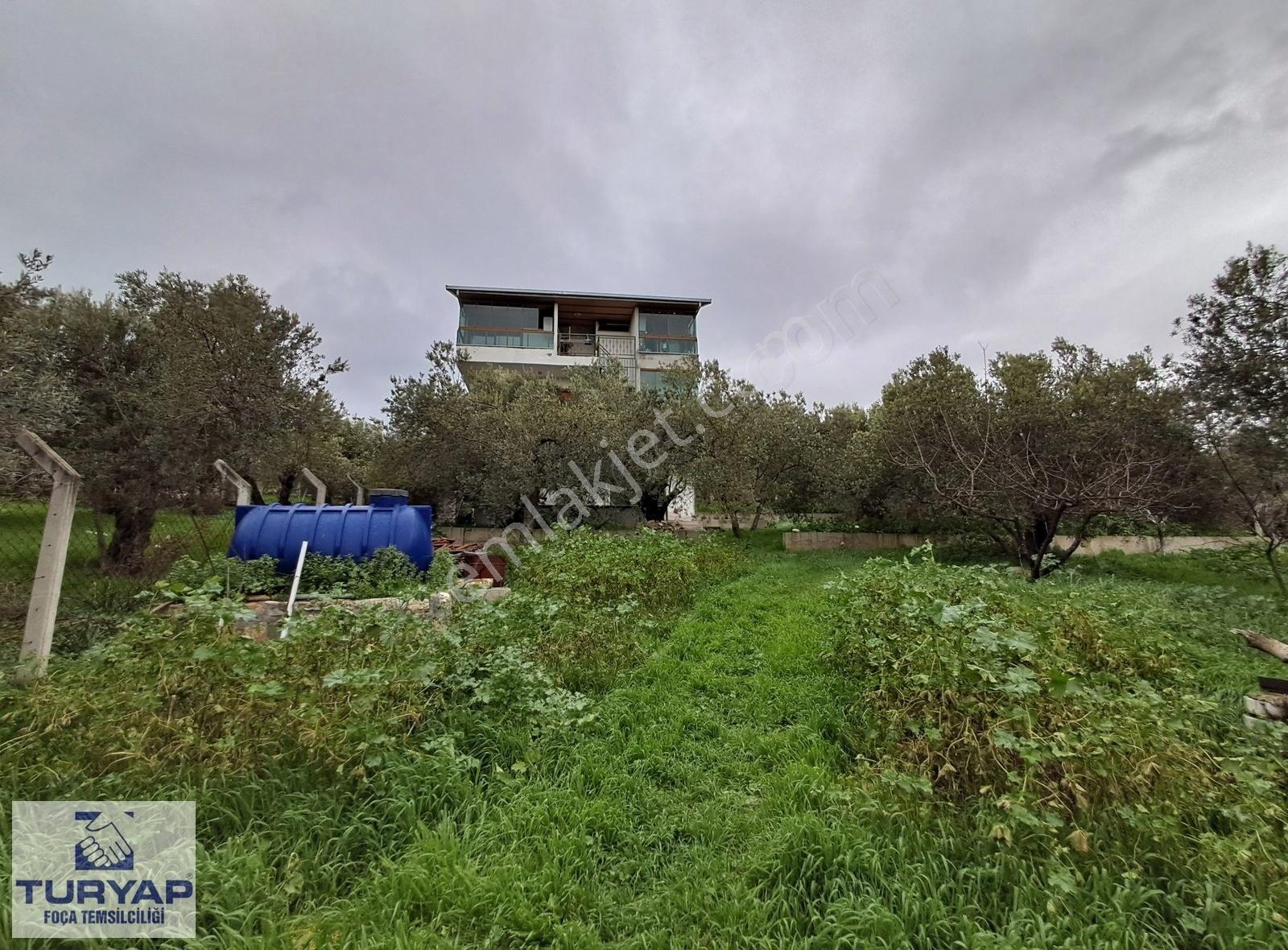 Foça'da İçinde 3+1 Müstakil Ev + Komple Bina Olan Zeytinli Tarla - Görsel 9