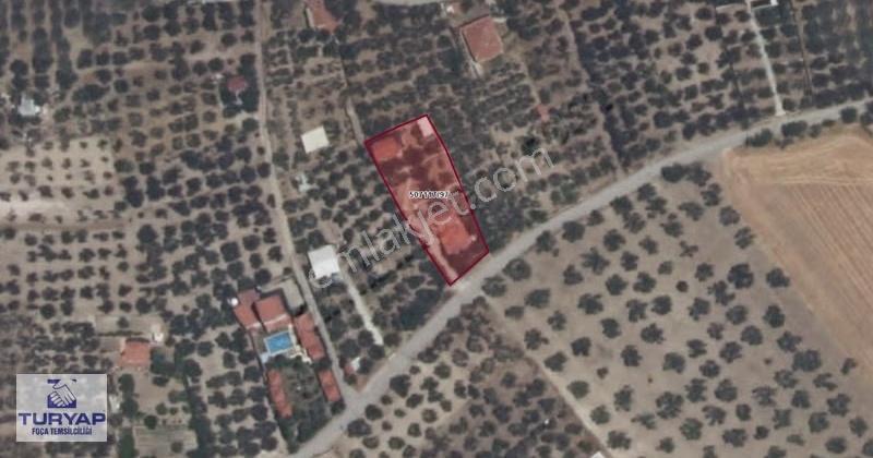 Foça'da İçinde 3+1 Müstakil Ev + Komple Bina Olan Zeytinli Tarla - Görsel 20