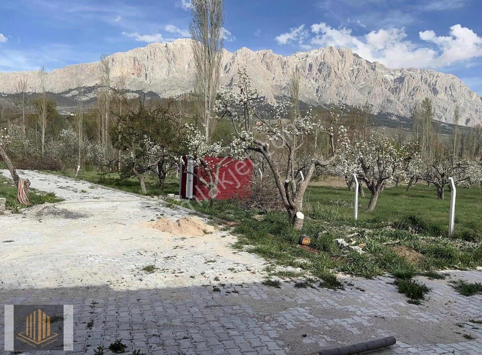 Sağlam'dan Yol Üzeri Kaçırılmayacak Su Kenarı Satılık Arsa - Görsel 2