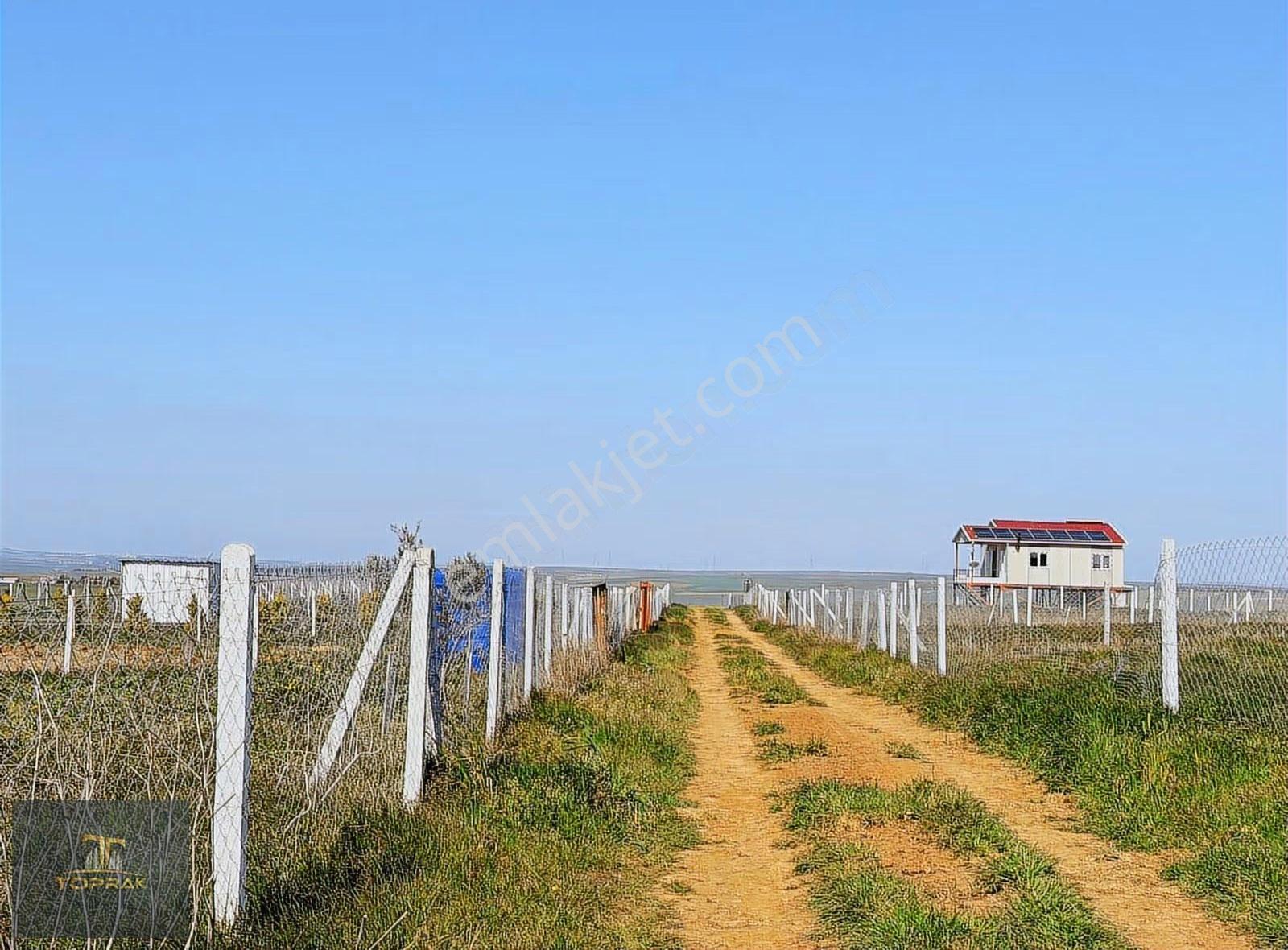 Toprak Arsa Ofisinden 1053 M2 Parseller - Görsel 10