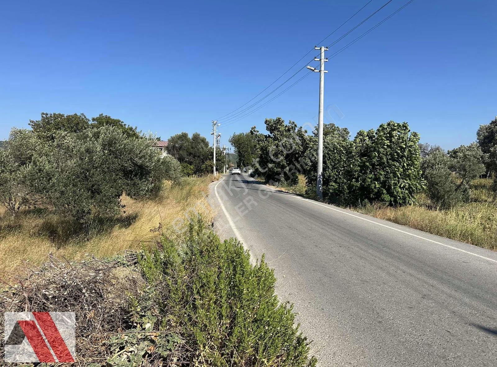 Sümbüller'den Kuşçular Mh. İzmir-çeşme Otoyol Yakını Büyük Arazi - Görsel 13