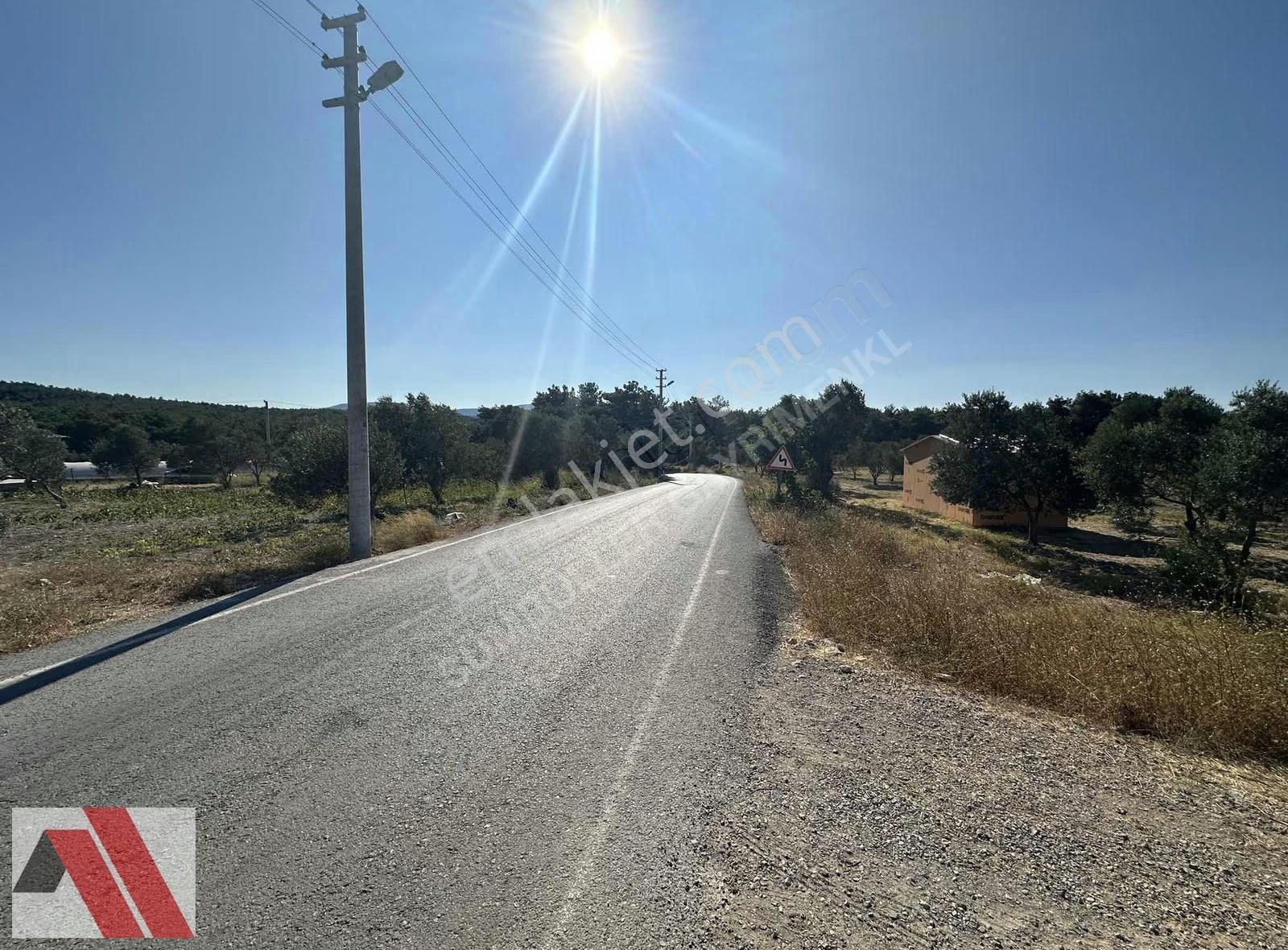 Sümbüller'den Kuşçular Mh. İzmir-çeşme Otoyol Yakını Büyük Arazi - Görsel 8