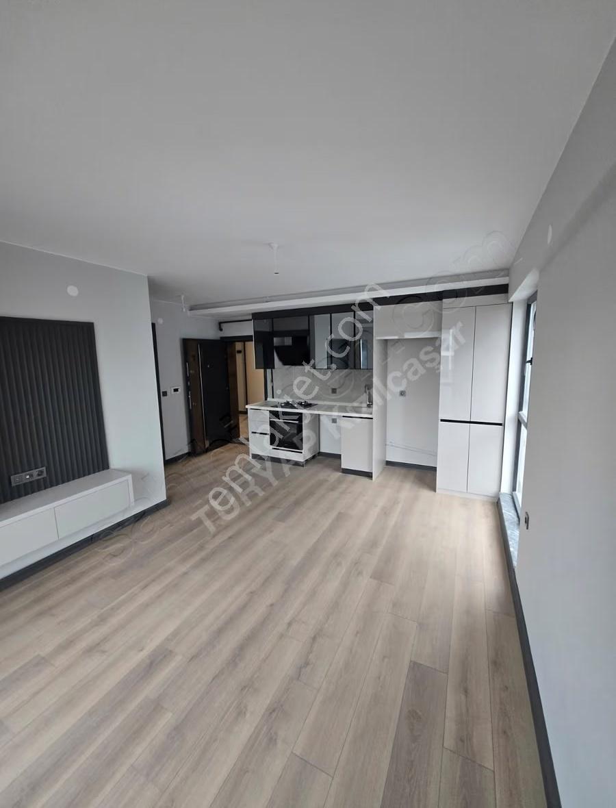 Taşpınarda Sıfır, Yüksek Giriş,oturuma Hazır 1+1 Satılık Daire - Görsel 3