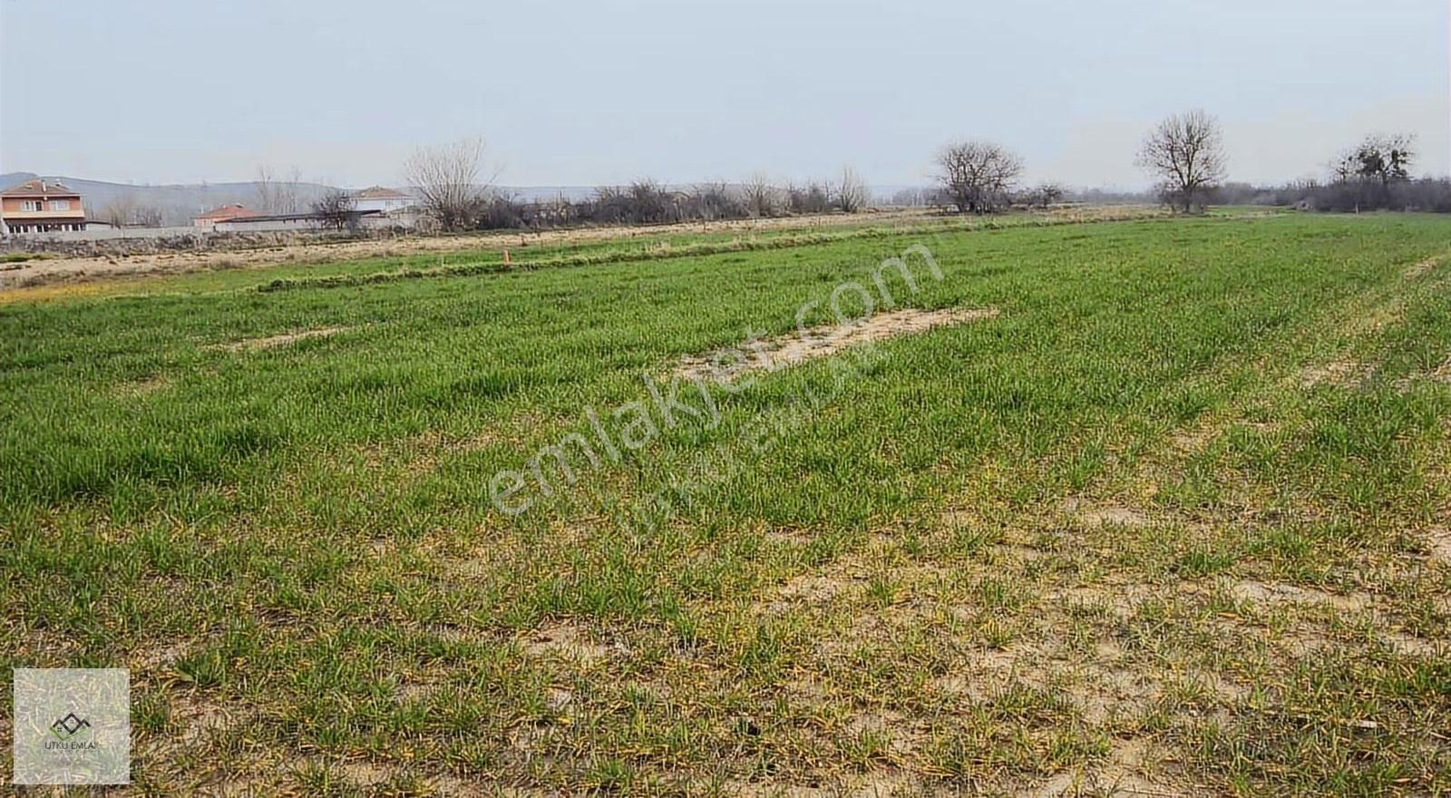 Utku Emlak Tan Yeşilovada 2700 M2 Satılık İmarlı Arsa - Görsel 13
