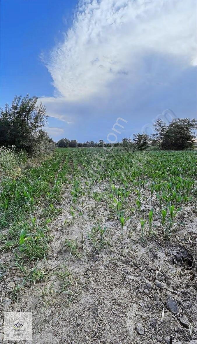 Havsa Yolageldide Köydibi 1506 M2 Bahçe Yeri - Görsel 16