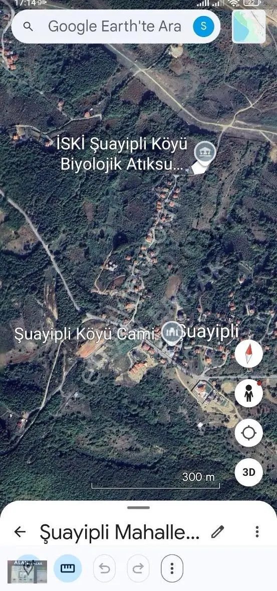 İstanbul Şile Şuayip Li De Yola Cepheli Yerimiz Satılıktır - Görsel 5
