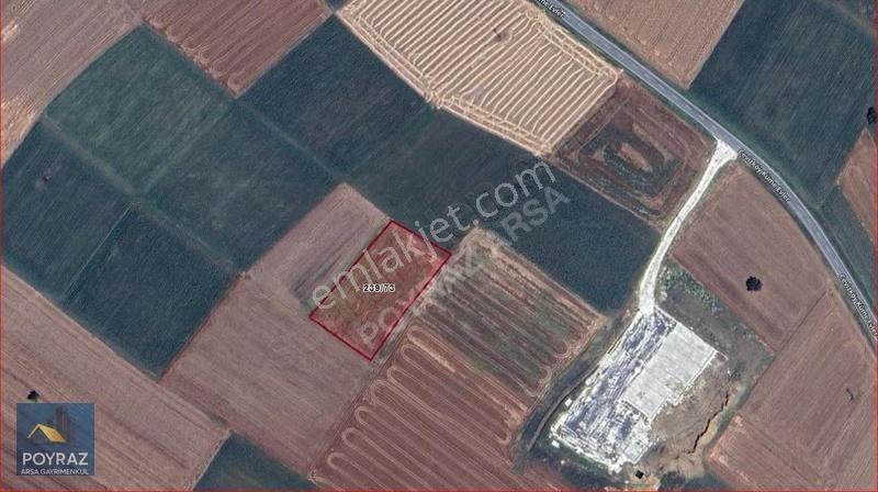 Kırklareli Pnarhisar Cevizköyde 4385m2 Satılık Tarla - Görsel 6