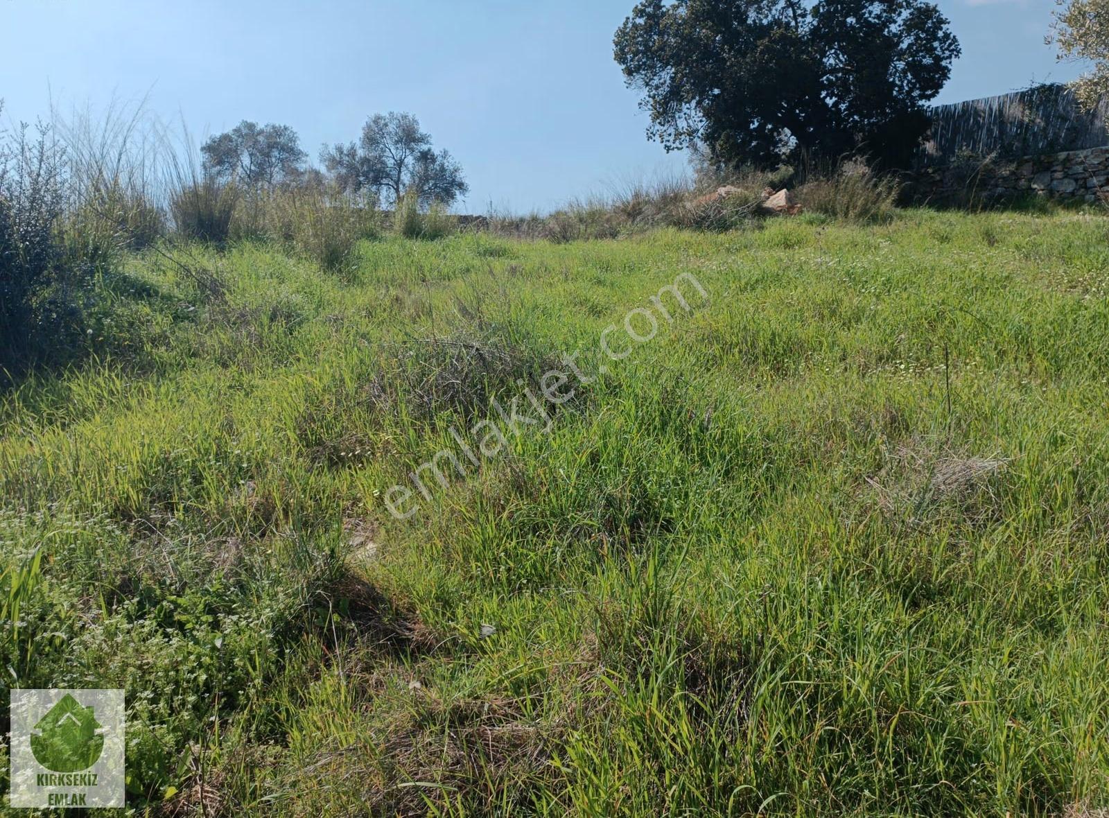 Muğla Menteşe Zeytinköyde 2.954 M² Satılık Tarla... - Görsel 21