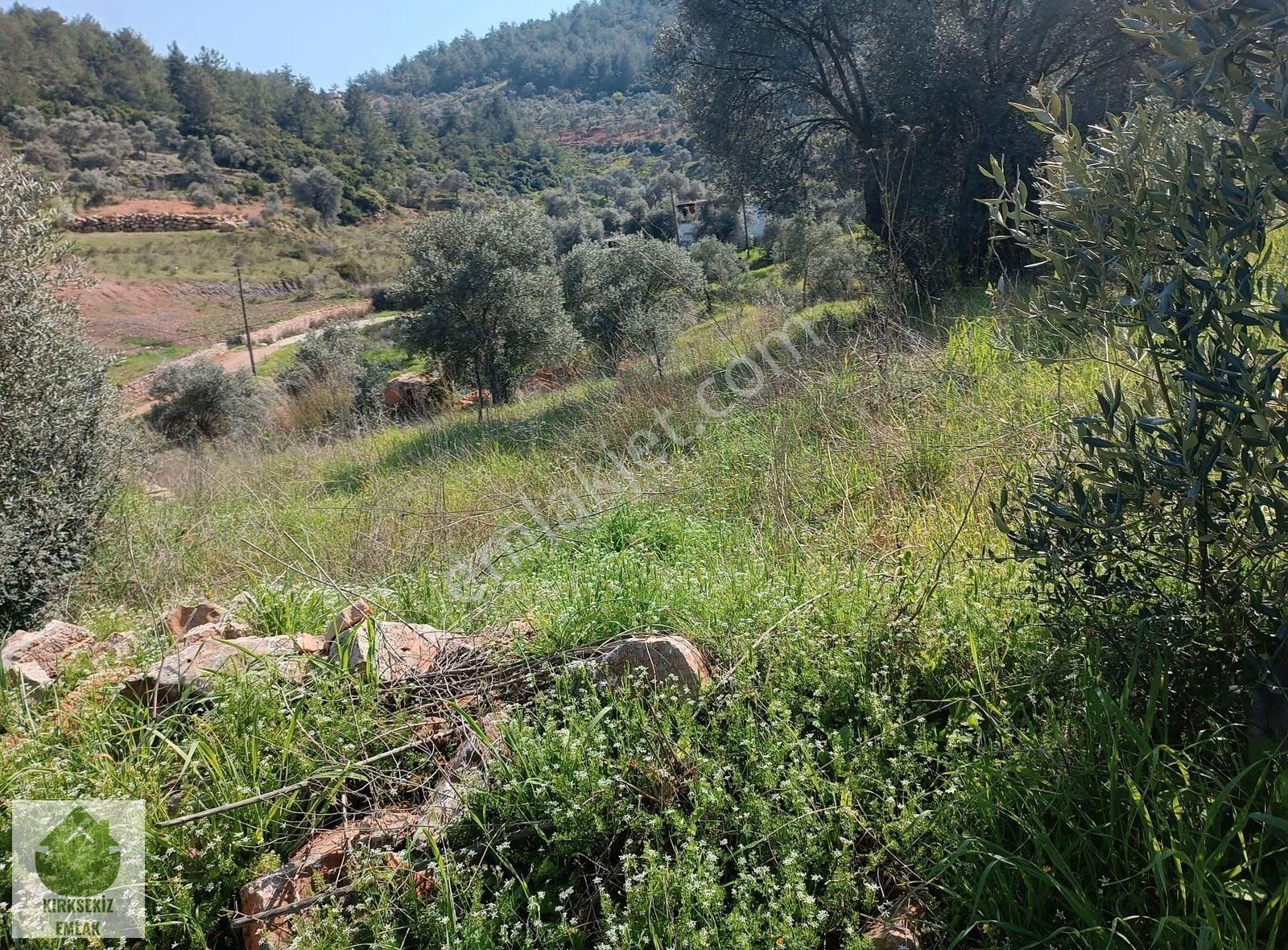 Muğla Menteşe Zeytinköyde 2.954 M² Satılık Tarla... - Görsel 30