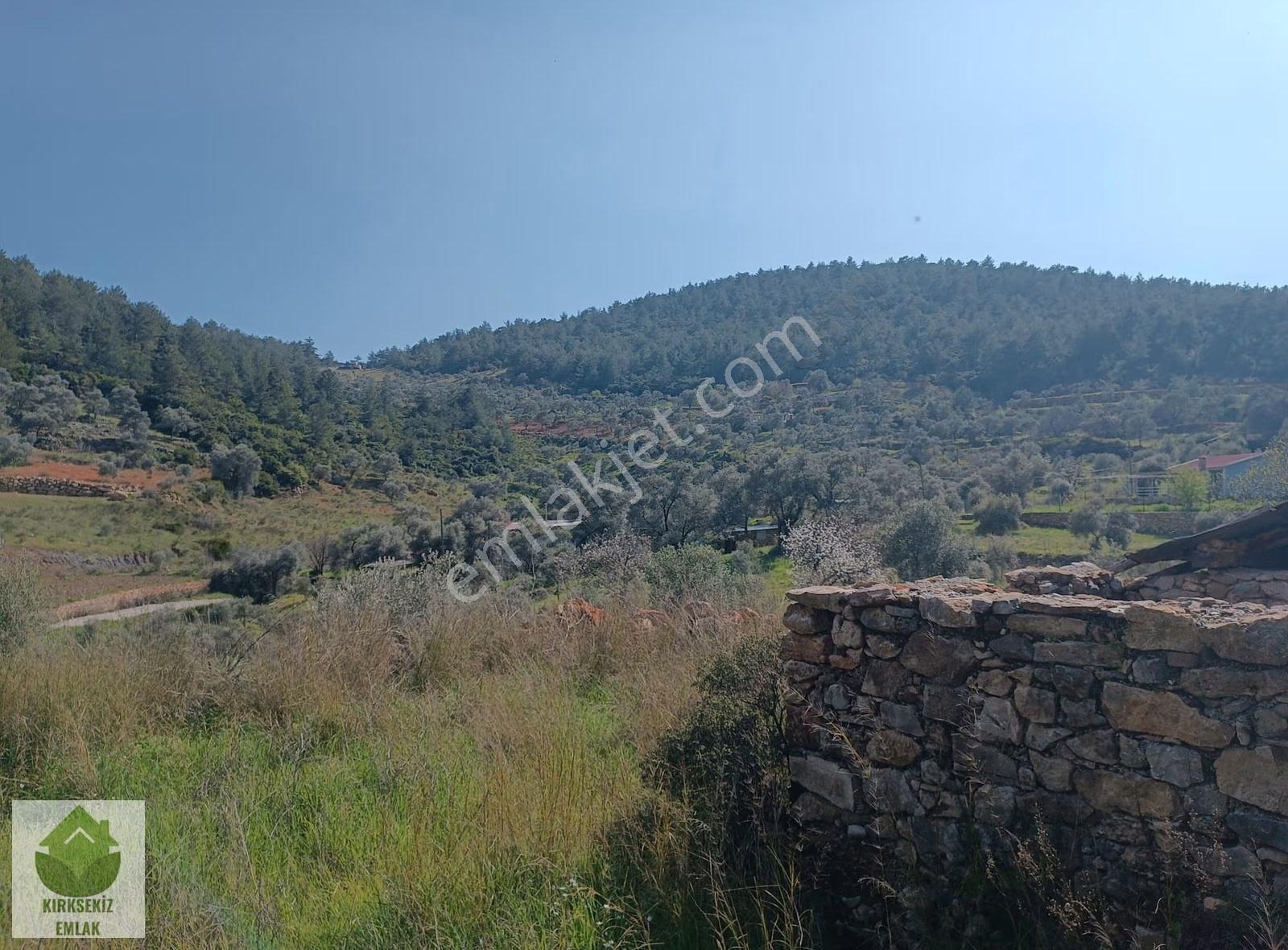Muğla Menteşe Zeytinköyde 2.954 M² Satılık Tarla... - Görsel 4