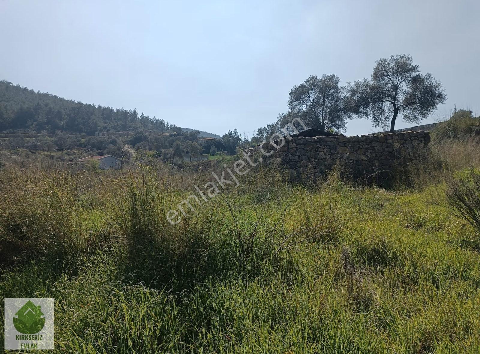 Muğla Menteşe Zeytinköyde 2.954 M² Satılık Tarla... - Görsel 7