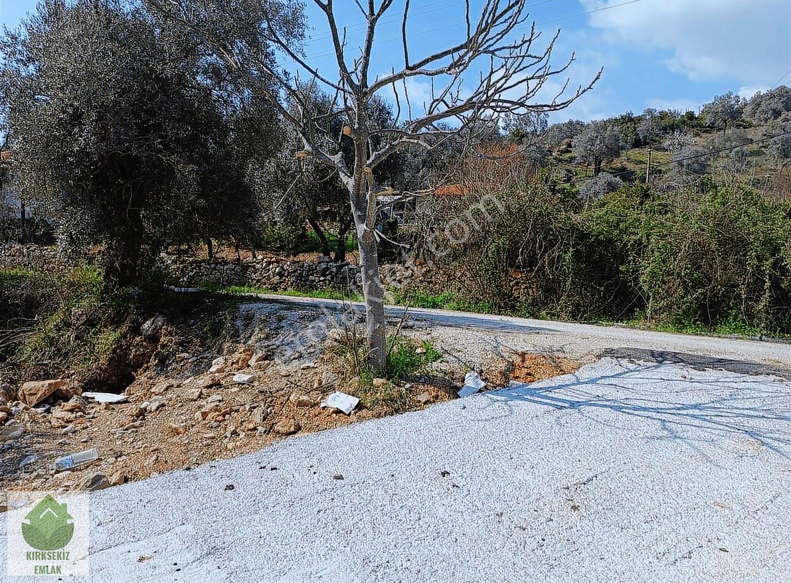 Muğla Menteşe Zeytinköyde 2.954 M² Satılık Tarla... - Görsel 35
